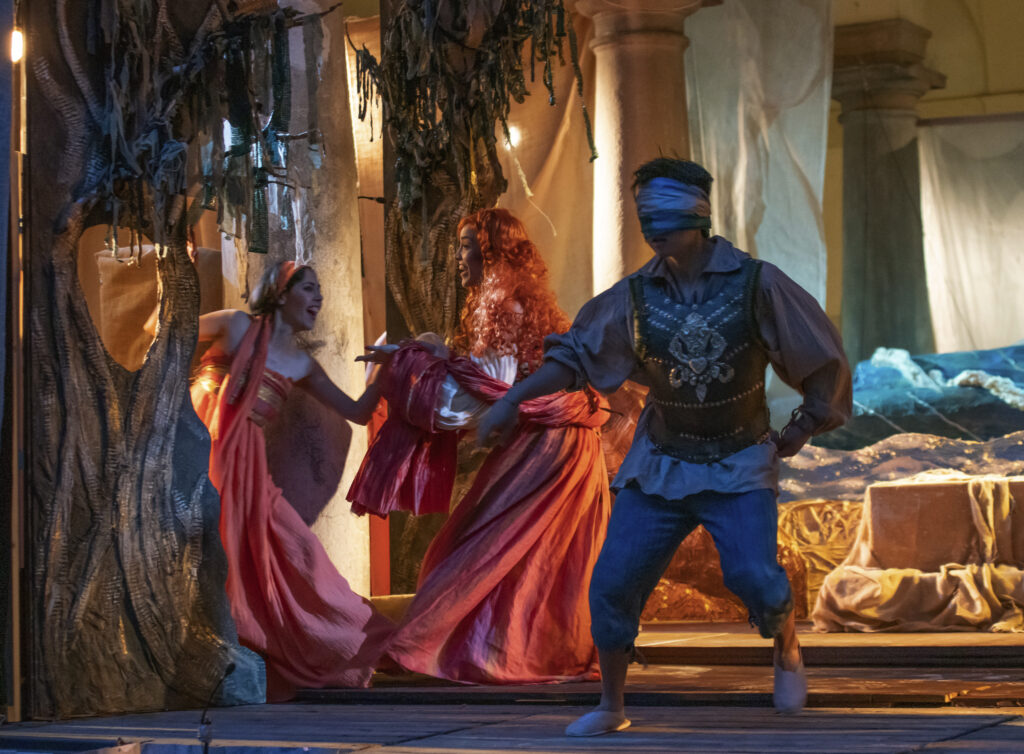 La liberazione di Ruggiero 7